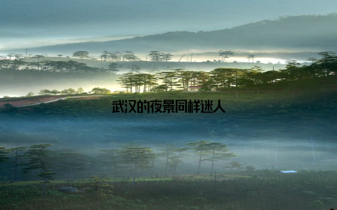 武汉的夜景同样迷人