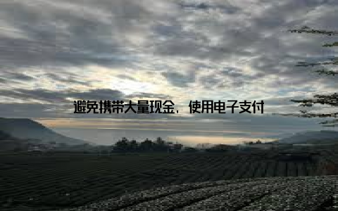 避免携带大量现金, 使用电子支付