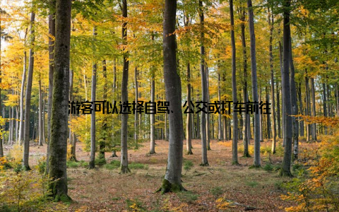 游客可以选择自驾、公交或打车前往