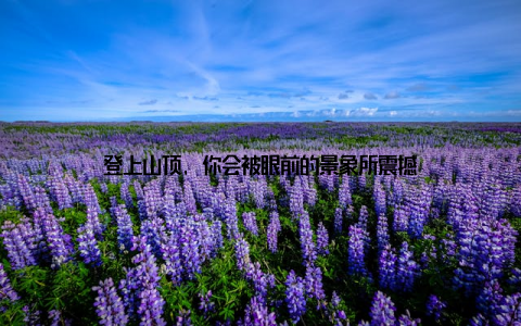 登上山顶, 你会被眼前的景象所震撼