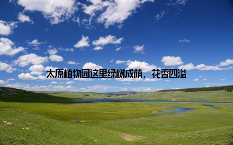 太原植物园这里绿树成荫, 花香四溢