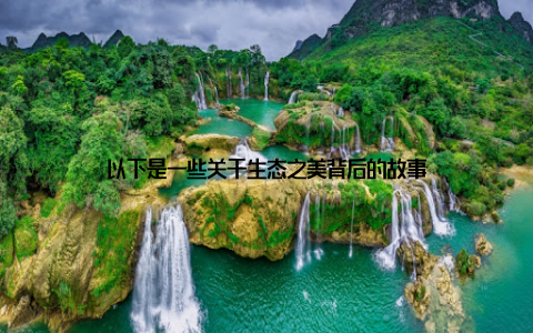 以下是一些关于生态之美背后的故事