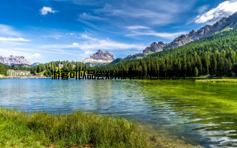 游客可以品尝郑州烤鸭, 回味无穷