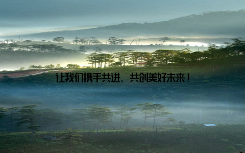 让我们携手共进, 共创美好未来!