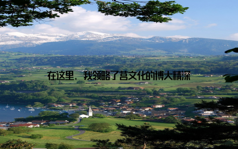 在这里, 我领略了莒文化的博大精深