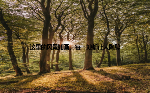 这里的风景如画, 每一处都让人陶醉