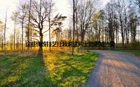 这些传统技艺让我对这片土地更加热爱