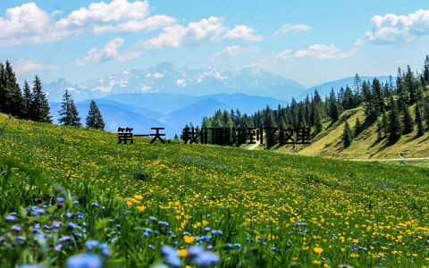 第一天, 我们就来到了这里