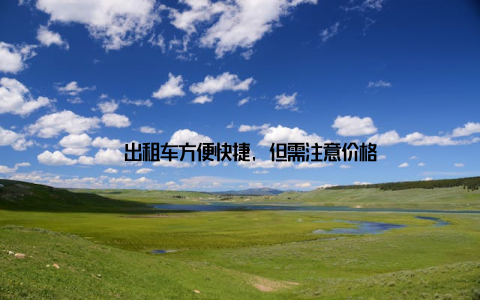 – 出租车方便快捷, 但需注意价格