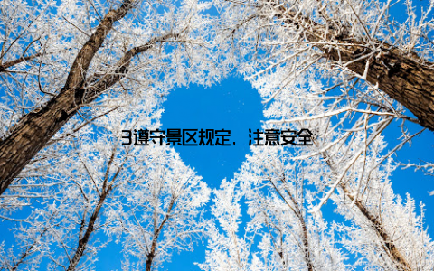 3遵守景区规定, 注意安全