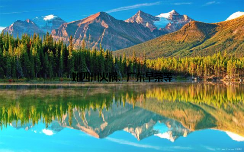 如四川火锅、广东早茶等