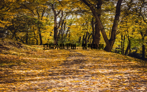 豆腐外酥里嫩, 香气扑鼻