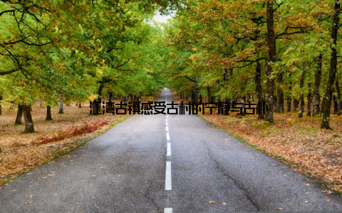 – 江湾古镇感受古村的宁静与古朴