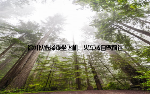 你可以选择乘坐飞机、火车或自驾前往