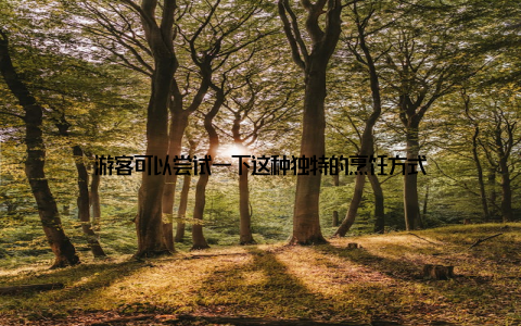 游客可以尝试一下这种独特的烹饪方式