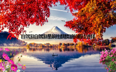 自驾游自驾游是前往麒麟湖的最佳选择