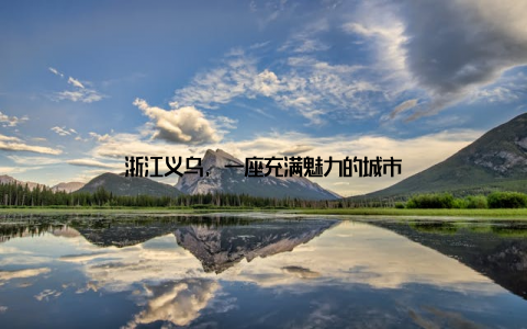 浙江义乌, 一座充满魅力的城市