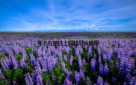 年卡在地铁上同样可以使用