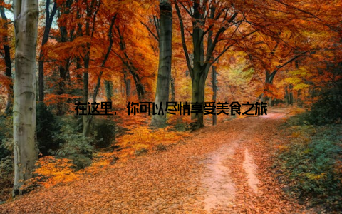 在这里, 你可以尽情享受美食之旅